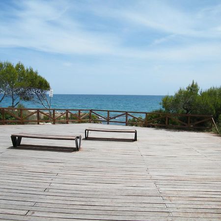 Apartament Apartamento Frente Al Mar En Alcossebre Zewnętrze zdjęcie